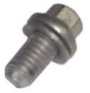 Torque Converter Bolt