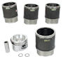 Piston & Cylinder Set - 1.9 Big Bore