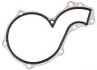 Water Pump Gasket