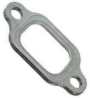 Exhaust Gasket