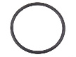 Cyl. Head Hose Flange O-Ring