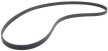 Serpentine Belt G60 with AC