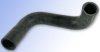 Lower Radiator Hose