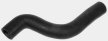 Upper Radiator Hose