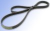 Alternator Drive Belt