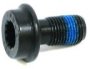 Flywheel Bolt