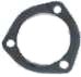 Tailpipe Gasket